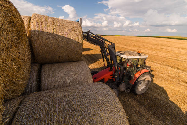 carro di paglia agricolo in campo agricolo - hay wheat bale stacking foto e immagini stock