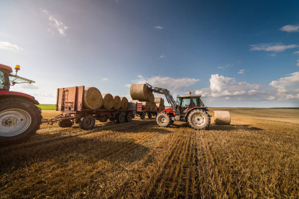 istock Agriculture straw wagon in farm field 1005846170