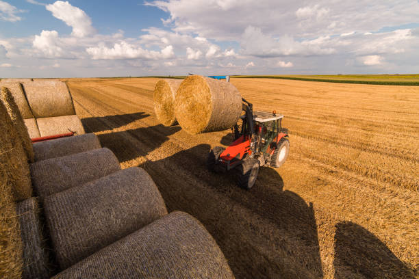 istock Agriculture straw wagon in farm field 1005846182