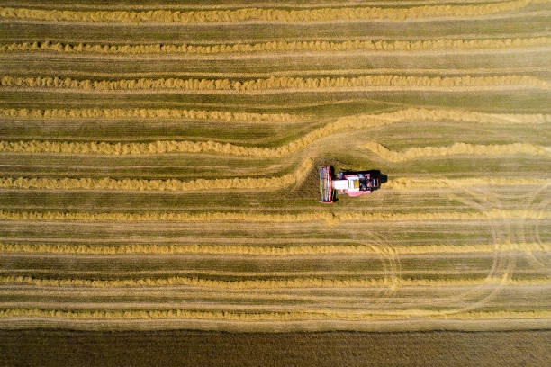 istock Autumn agricultural works 1005846210
