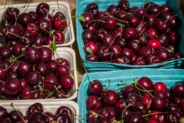 istock Several Containers Full of Fresh Cherries 1005850176