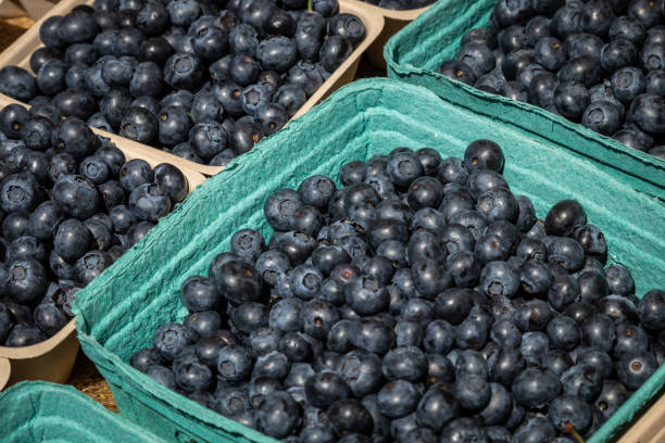 istock Several Containers Full of Fresh Blueberries 1005850288