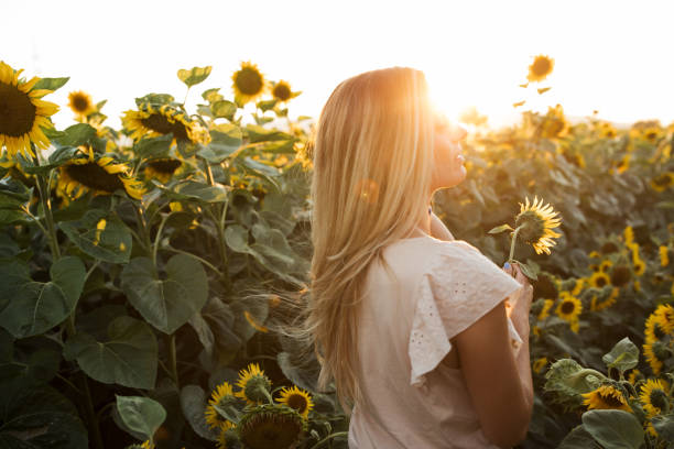 istock Pretty blond woman in sunflower field 1005863206