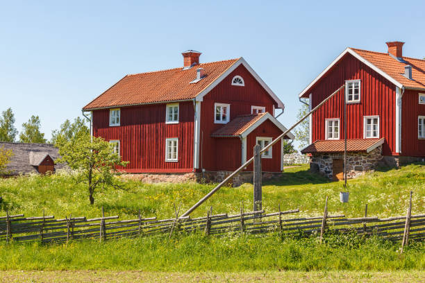 domy wiejskie na wsi w szwecji w lecie - swedish culture zdjęcia i obrazy z banku zdjęć