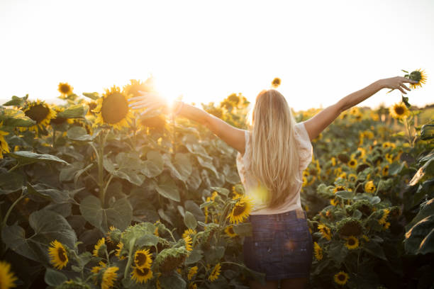 istock Enjoying summer time at sunflowers field 1005870766