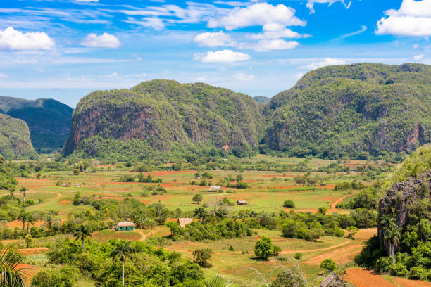 istock View of the Vinales valley, Pinar del Rio, Cuba. Copy space for text. 1005881882
