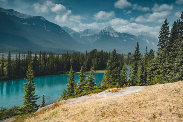 istock Bow River Bed beautiful blue with mountains in Background and tree and foreast in foreground 1005885324