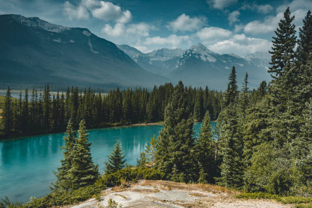 istock Bow River Bed beautiful blue with mountains in Background and tree and foreast in foreground 1005885596