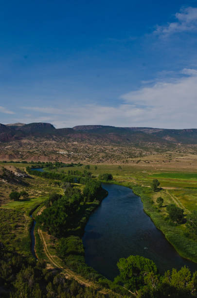 istock A long view of the green river flowing. 1005885692