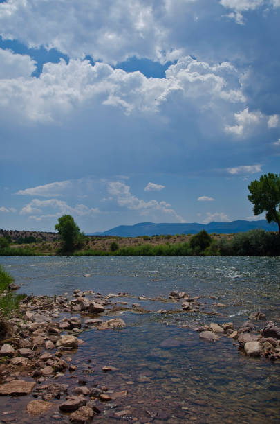 istock A flowing creek in the summer utah countryside 1005885702