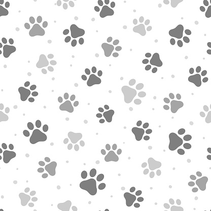 Animal Cute Paw Seamless Pattern Background, Vector Illustration