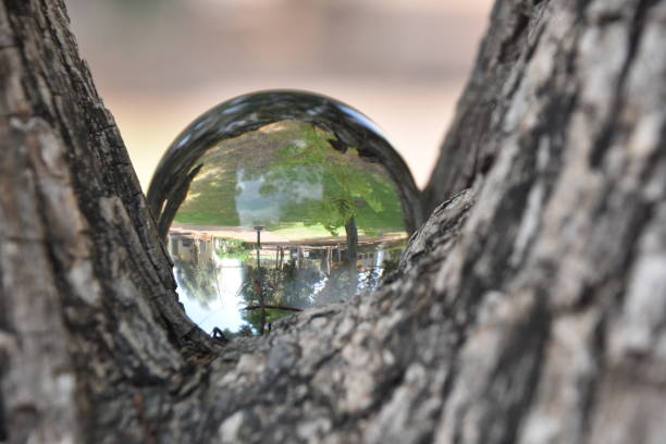 istock reflection of nature in a crystal ball 1005890452