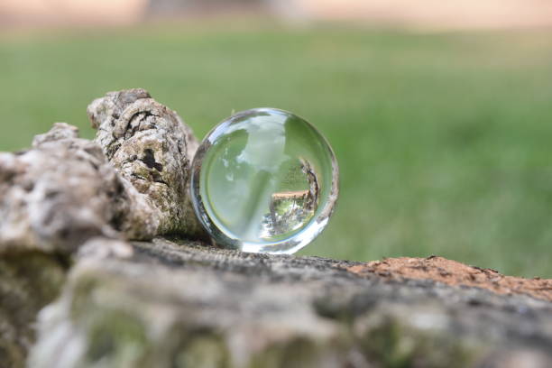 istock reflection of nature in a crystal ball 1005893320