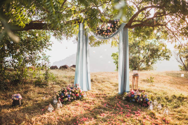 istock Sunset wedding ceremony, arch decorated with grey cloth hanging on big tree and rose flowers arrangement 1005893802
