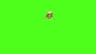 istock Spider crawls on the screen on a green background. One click selection and overlay in the video editor 1005897602