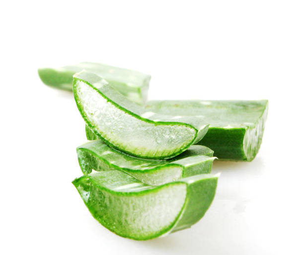 istock Aloe vera plant 1005927226