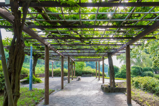 istock Empty alley in garden with leaves cover on roof. 1005928242