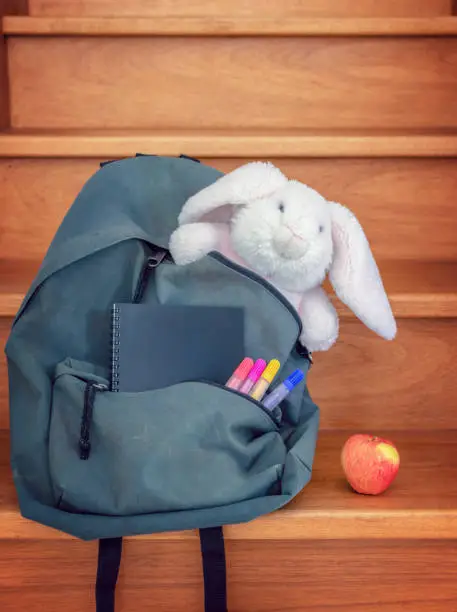 School bag with cuddly toy, supplies and lunch