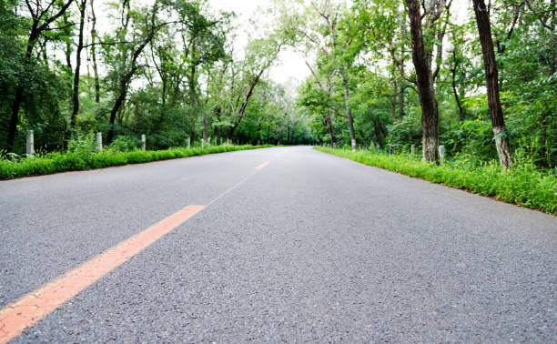 istock Country road through the forest 1005930780