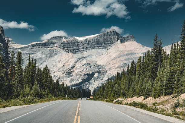 istock Empty Icefields Parkway Street with Mountain Panorama in Banff N 1005935646