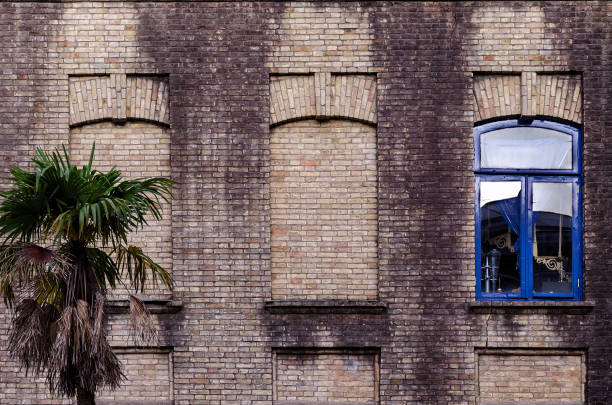 istock Old brick wall with three windows, two false, one with glass and blue color frame, small palm near building. 1005938656