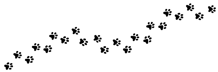 Paw vector foot trail print of cat. Dog, puppy silhouette animal diagonal tracks for t-shirts, backgrounds, patterns, websites, showcases design, greeting cards, child prints and etc.