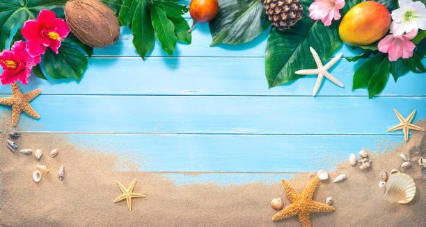 sfondo vacanze con fiori tropicali, foglie, frutta esotica e conchiglie sulla spiaggia di sabbia - seashell shell sand copy space foto e immagini stock