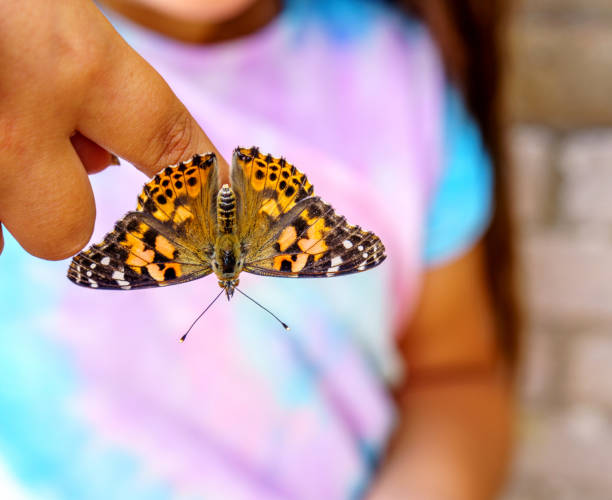 istock Ten year old girl with butterfly on her finger 1005955642