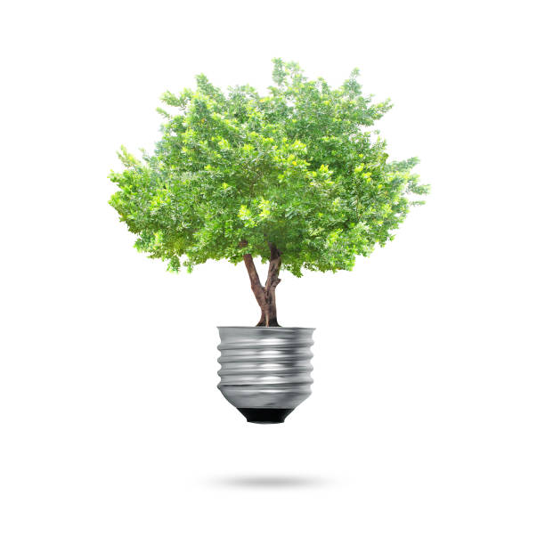 istock Green energy symbols ecology, light bulb 1005956068
