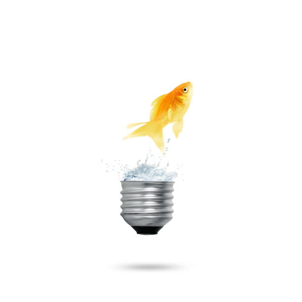 istock Green energy symbols ecology, light bulb 1005956074