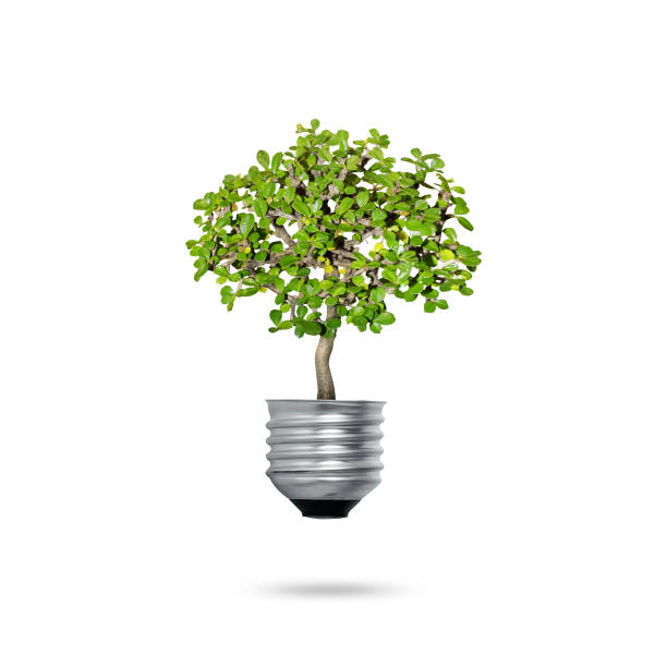 istock Green energy symbols ecology, light bulb 1005956084