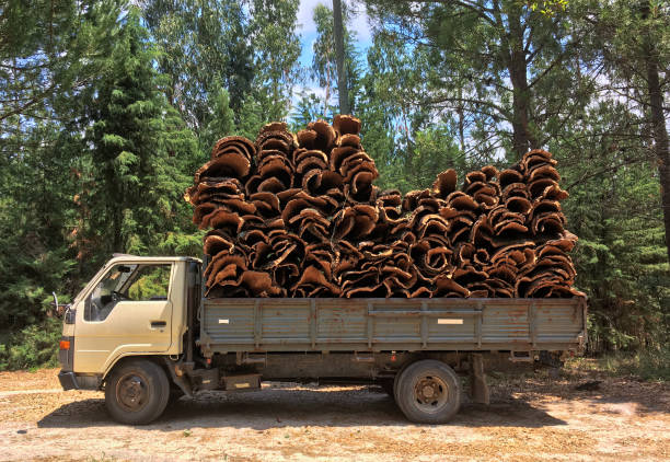 Loading of cork - Transport of cork in Portugal Vivid photos of Loading of cork and Transportation of cork in a terrain in Santarém - Portugal stackable stock pictures, royalty-free photos & images