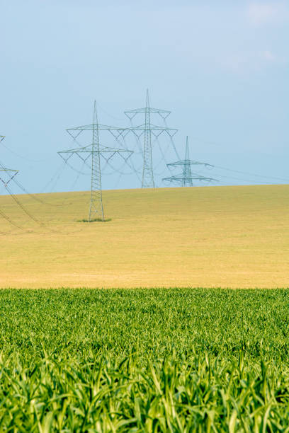 Overland lines on fields in portrait format power line horizon over land stock pictures, royalty-free photos & images
