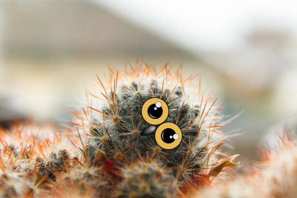istock cute owl chick with large eyes, tilted his head, cactus with eyes and beak collage 1005967502