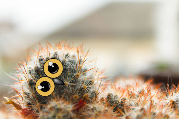 istock cute owl chick with large eyes, tilted his head, cactus with eyes and beak collage 1005967530