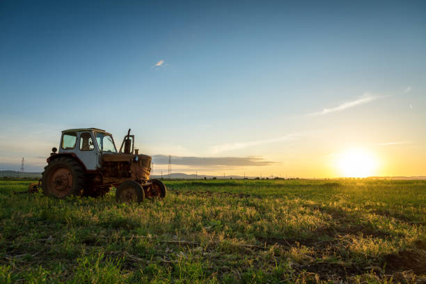 istock Old rusted tractor parked in nature. 1005975362