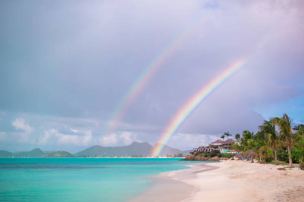 istock Beach sunbed on exotic tropical resort on caribs 1005978748