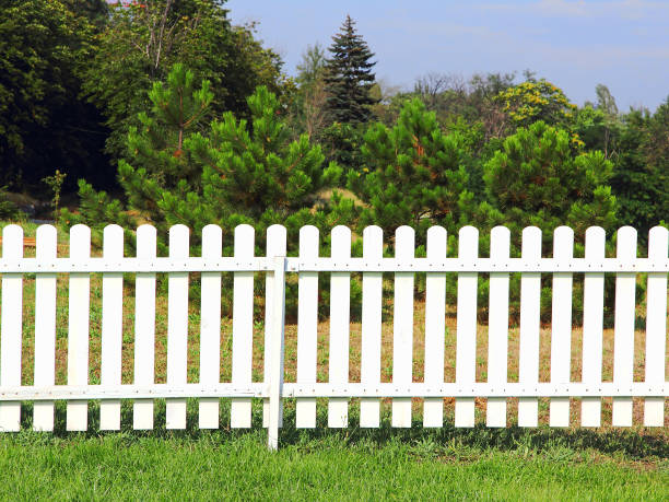 istock White wooden fence on green grass against forest trees. 1005983806