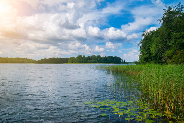 istock Summer Lake in a forest at sunny day 1005987360