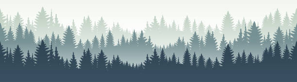 бесшовный лесной ландшафт. векторная иллюстрация. - layered mountain tree pine stock illustrations