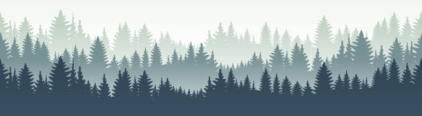 Seamless forest landscape. Vector illustration. Layered trees background. Outdoor and hiking concept. mountain borders stock illustrations