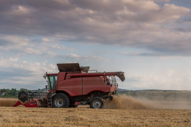istock Combine harvesting the field of wheat on a sunset 1005988672
