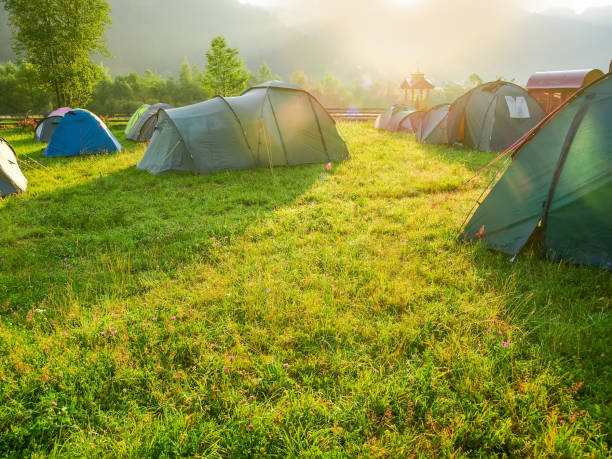 istock Tent camp on a mountain meadow at sunrise 1005991692