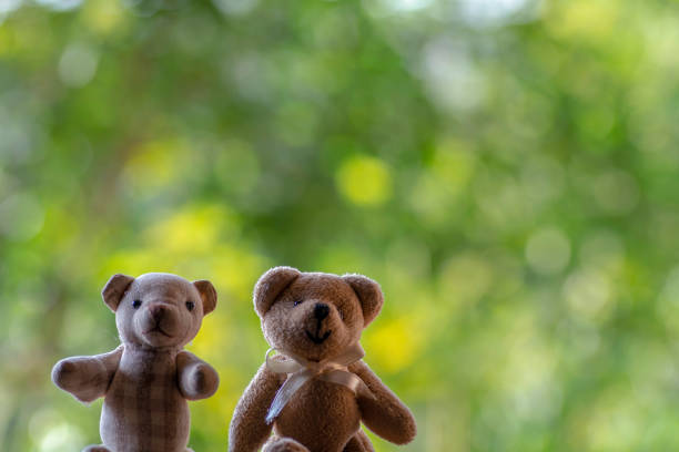 Two teddy bears on blurred background and bokeh