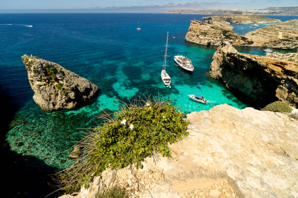 istock Malta, Comino island, panoramic view of the cliffs and the sea 1005999074