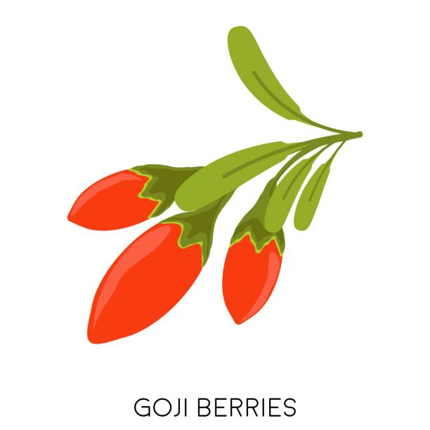 kilka dojrzałych czerwonych jagód goji płaska ikona izolowane na białym tle. ikona superfood wolfberry. zdrowe owoce - wolfberry stock illustrations