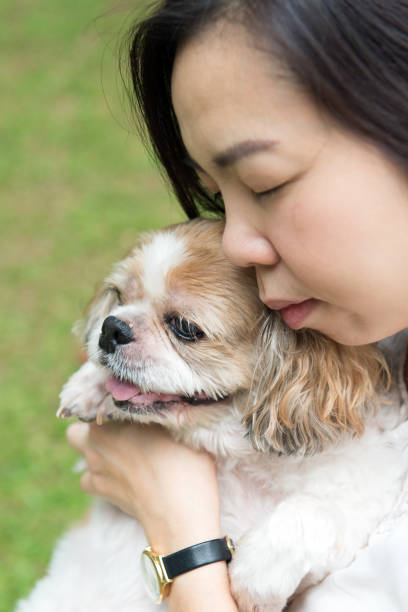 istock Asian young lady with her Shih Tze dog 1006008914