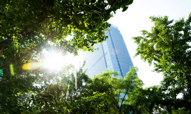 Modern office building and green leaves