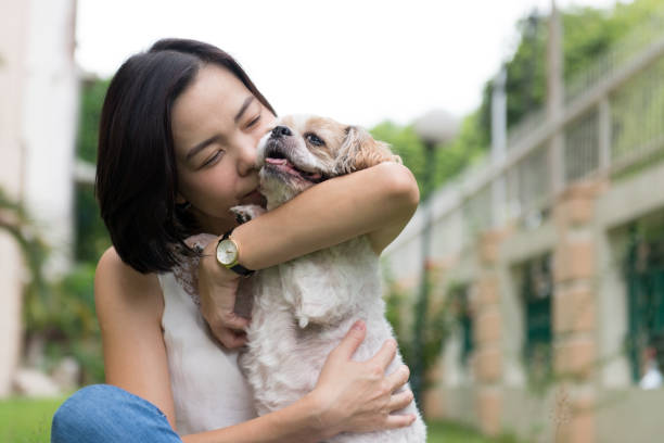 istock Asian young lady with her Shih Tze dog 1006017268