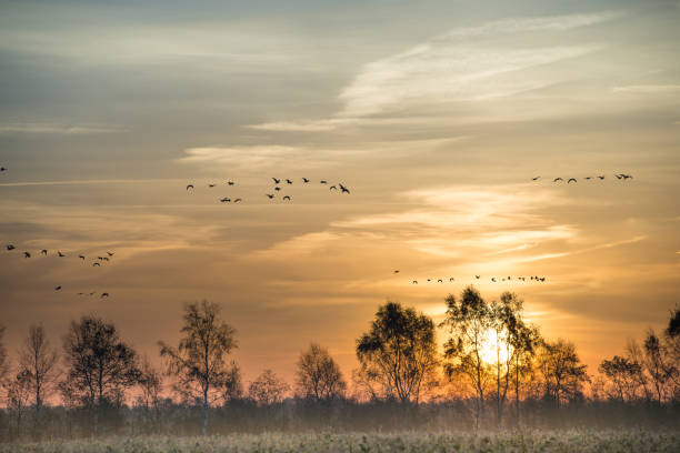 istock the moorland in the autumn 1006022898